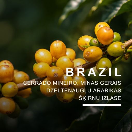 Brazil Daterra Espresso Yellow, кофе 1 кг