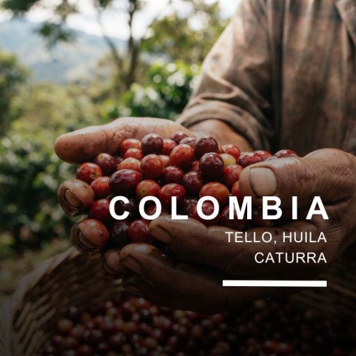 Kolumbijas kafija Tello Women Coffee Project 500g | KafijasPupina.lv