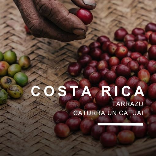 Kostarika/Costa Rica Hacienda Cafetalera Estate, kafija 500 g