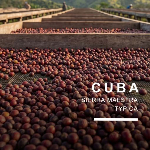 Kuba/Cuba Serrano Lavado, kafija 500 g