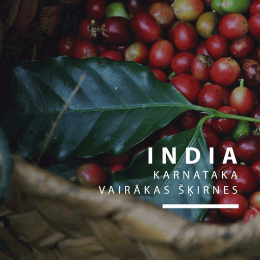 India coffee (indijas kafija)