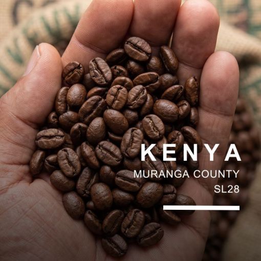 Kenija/Kenya Marumi AA, kafija 500 g