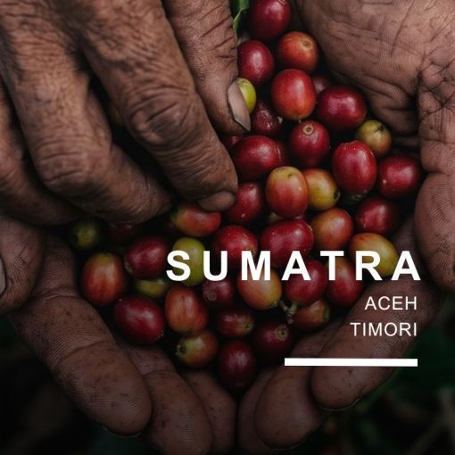 Sumatra/Sumatra Gayo Highland, kafija 500 g