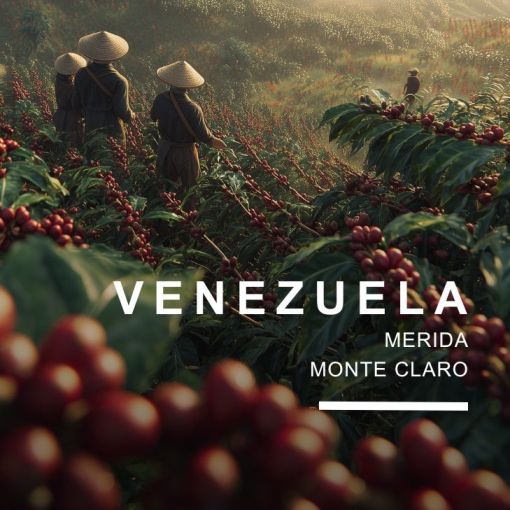 venezuela kafija