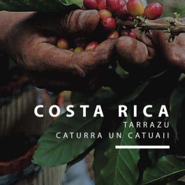 Costa Rica Hacienda Cafetalera Estate kafija | www.kafijaspupina.lv