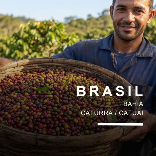 Brazīlija/Brazil Bahia, kafija 500 g