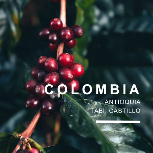 Colombia by Juan Saldarriaga, kafija