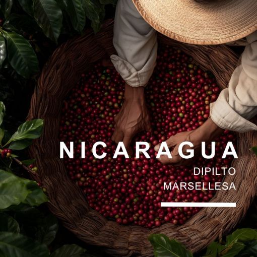 Nicaragua kafija, Finca Las Hortensias, anaerobā apstrāde, specialty kafija, Nikaragvas Arabika