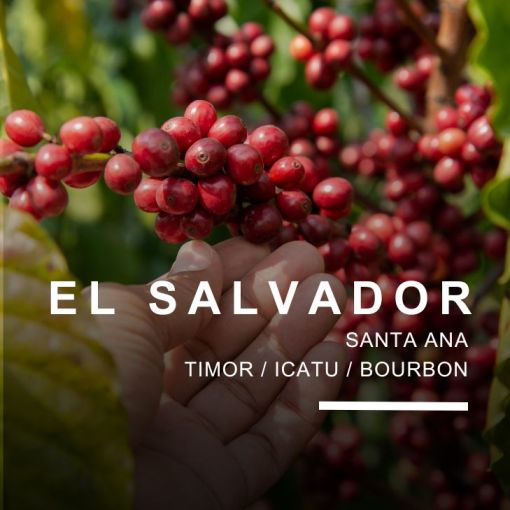 Salvadora/El Salvador Finca Los Nogales, coffee 500 g