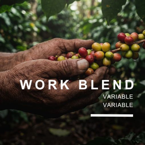 WORK Blend Nr.25, kafija 500 g
