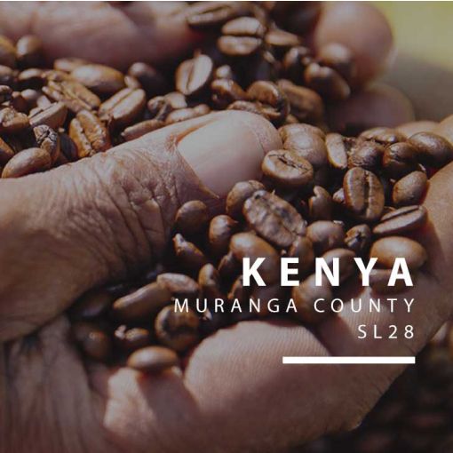 Kenijas kafija